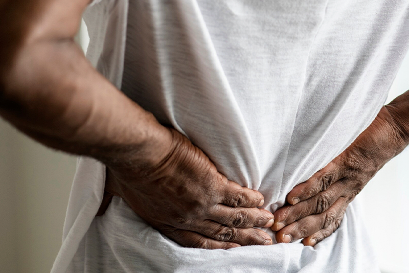 Contrôle central des muscles du dos et de la douleur comme facteurs prédictifs et explicatifs de la lombalgie chronique